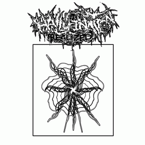 Hallucination Realized : Split Discography 2017-2019